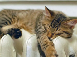 Теплий одяг і не тільки: чим варто запастись на зиму на випадок перебоїв із теплом