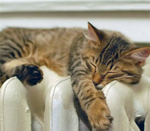 Теплий одяг і не тільки: чим варто запастись на зиму на випадок перебоїв із теплом