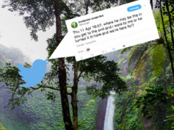Бот із Twitter «перекладає» звуки джунглів у слова