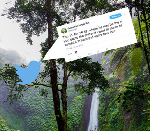 Бот із Twitter «перекладає» звуки джунглів у слова