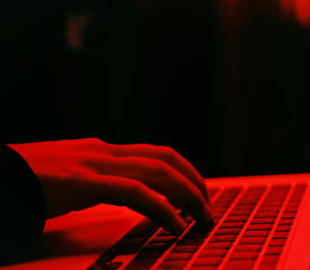 Стоп Остап: у Telegram з’явився бот, який перевіряє благодійників на шахрайство