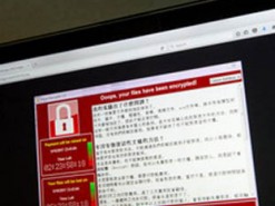 Количество утечек данных сократилось на 25%