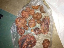 В Лисичанске задержали двух парней, которые украли кабель Укртелекома