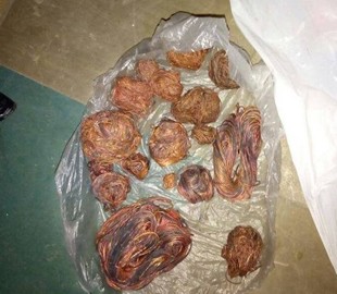 В Лисичанске задержали двух парней, которые украли кабель Укртелекома