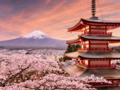 Забув телефон на Фудзі: туриста двічі за чотири дні рятували з гори