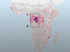 Новая интерактивная карта показывает концентрацию углекислого газа на Земле