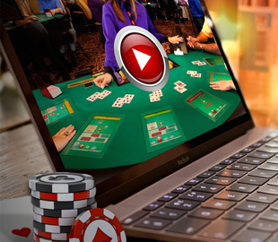 Полиция остановила работу пяти интернет-центров для игорного бизнеса и онлайн-казино в Северодонецке