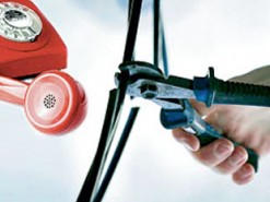 В сети опубликовали фото вора, пытавшегося украсть телефонный кабель