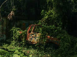 Очима технологій — як штучний інтелект уявляє кінець світу