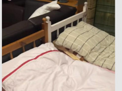 З ліжками та диваном: Оля Полякова показала своє укриття на випадок повітряної тривоги