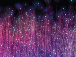 Учёные превратили километры «темного кабеля» в современные сейсмические датчики