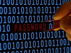 База данных клиентов «Цитруса» обнаружена в сети: что там и насколько это правда