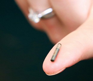 В американских компаниях растет число «киборгов»