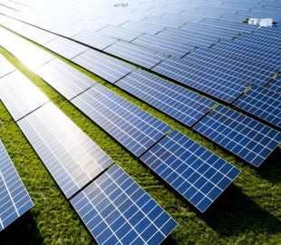 Amazon объявила о двух новых проектах в области возобновляемых источников энергии