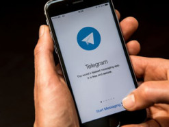 В Telegram увеличивается количество каналов по продаже фейковых COVID-сертификатов