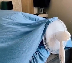 «Жизнь прекрасна!» — курьезный кот показал, как справиться с жарой без кондиционера