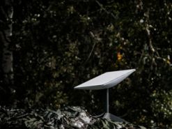 Відключення Starlink в Україні: у Польщі відреагували на заяву Маска