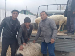 Сім’ям мобілізованих земляків Шойгу видають взамін рекрута живого барана