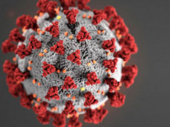 В Facebook придумали новый способ борьбы с фейками о коронавирусе