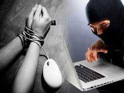 Украинские суды установили рекорд по «посадкам» интернет-преступников