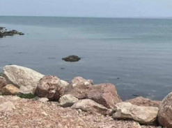 В Криму море викинуло на берег одяг екіпажу крейсера «москва». ФОТО