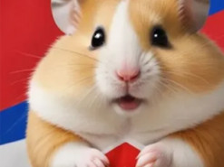 Гра Hamster Kombat: українців попередили про російське походження та можливі загрози