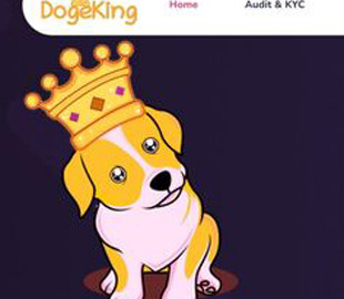 Малоизвестная криптовалюта подорожала на 2300% из-за шутки на Китайский Новый год