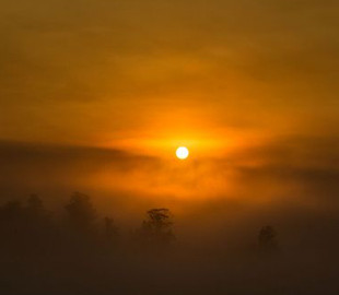 Туман над Києвом не розвіявся: синоптики розповіли, скільки ще він протримається