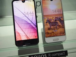 Sharp планирует этой весной начать выпуск панелей OLED для смартфонов