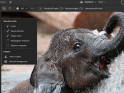 Adobe представила веб-версии Photoshop и Illustrator с ограниченными возможностями