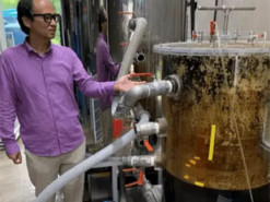 В южнокорейском вузе создали туалет с «майнингом на фекалиях»