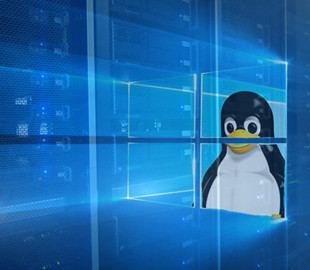 Windows Central назвав 5 причин перейти з Windows 11 на Linux