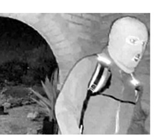 В Аризоні затримано можливого викрадача матері відомої телеведучої