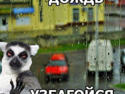 Спасительные ливни: появилась яркая фотожаба на непогоду в Украине