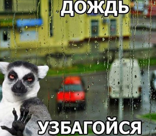 Спасительные ливни: появилась яркая фотожаба на непогоду в Украине