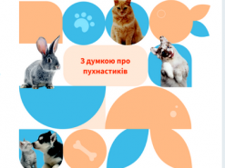 В Україні запрацював вебсервіс допомоги тваринам, що втратили власників