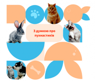 В Україні запрацював вебсервіс допомоги тваринам, що втратили власників