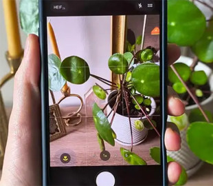 Магічна функція iPhone: чому фронтальна камера дивно реагує на білу поверхню