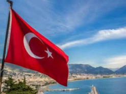 Эрдоган обиделся на соцсети