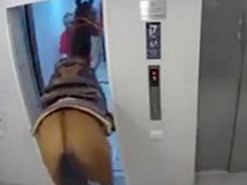 Видео дня: житель Тель-Авива завел в лифт живую лошадь и поднялся с ней на шестой этаж