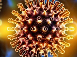 Компьютерное моделирование поможет бороться с эпидемиями ВИЧ