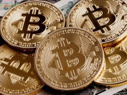 В апреле в Японии создадут единый орган регулирования крипторынка