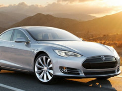 Автономность Tesla Model S улучшили благодаря анатомии живых организмов