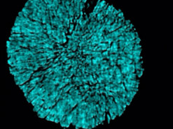 Создан электролит, который способен в два раза увеличить ёмкость литиевых аккумуляторов