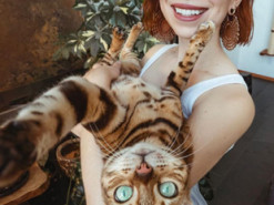 Засиделись дома? Посмотрите на Сьюки - кошку, которая ведет жизнь настоящего трэвел-блогера