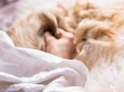 Як вибрати фалоімітатор?