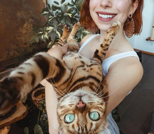 Засиделись дома? Посмотрите на Сьюки - кошку, которая ведет жизнь настоящего трэвел-блогера