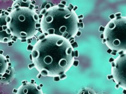 Производители гаджетов отказываются от участия в престижной выставке из-за коронавируса