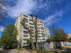 Чиновниця у Львові видала згенероване ШІ фото за доказ обрізки дерев