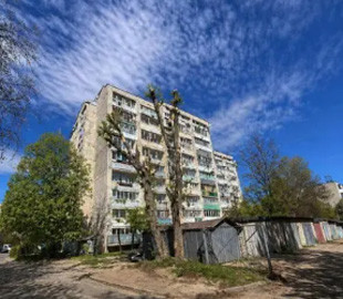 Чиновниця у Львові видала згенероване ШІ фото за доказ обрізки дерев